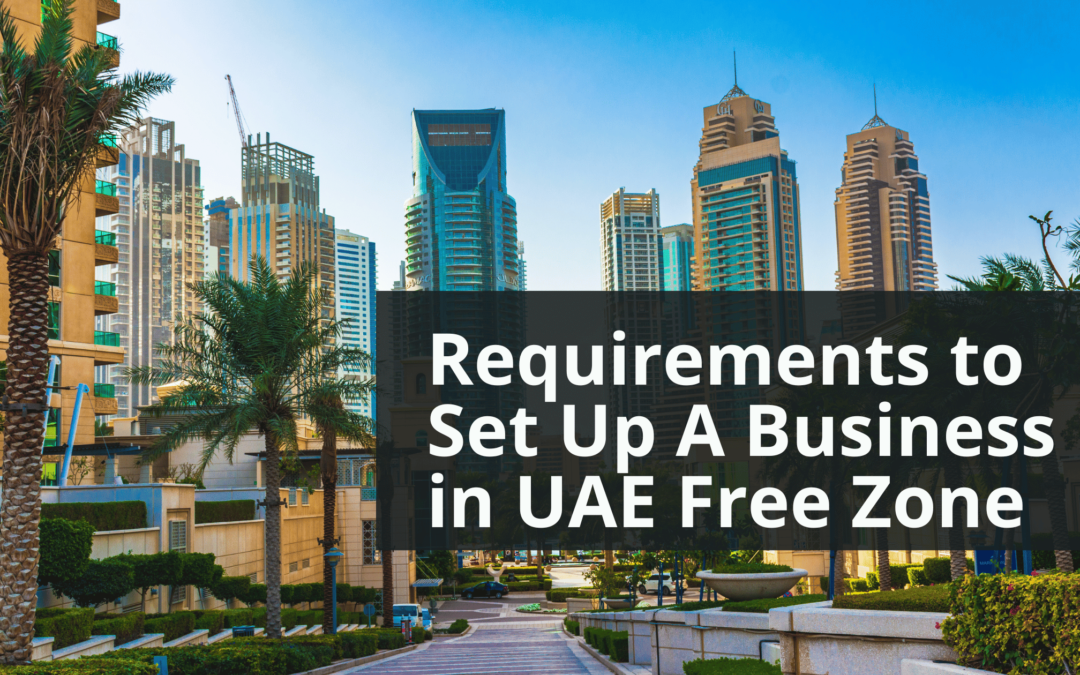 Requirements to Set Up A Business in UAE Free Zone