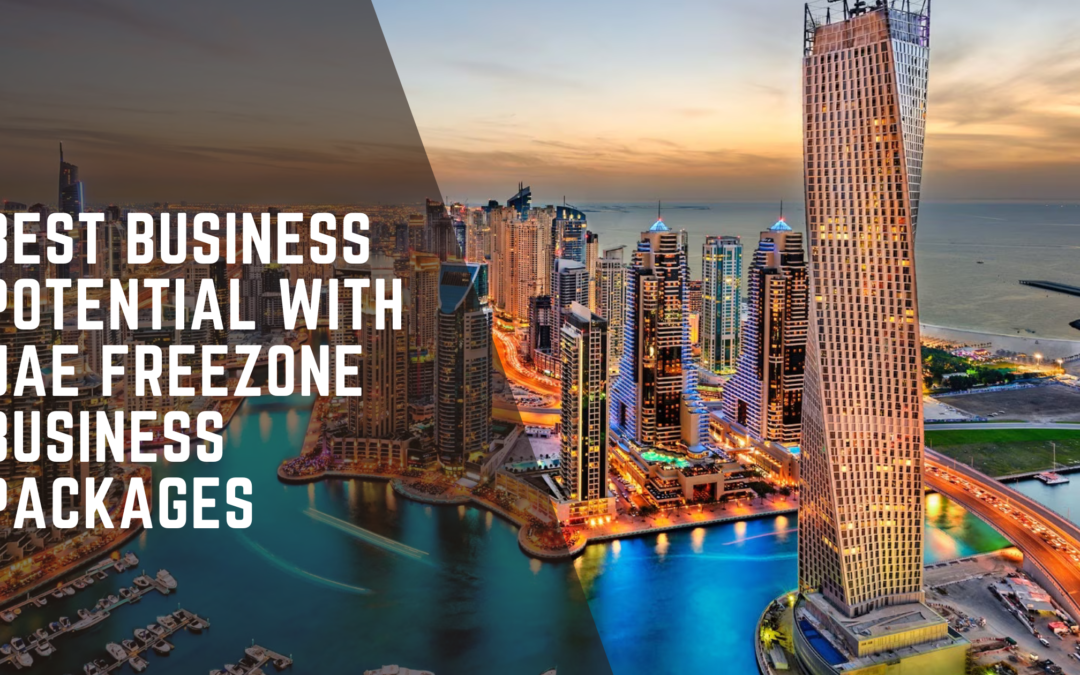 Best Business Potential with UAE Freezone Business Packages