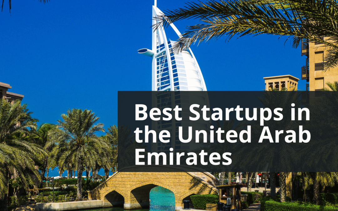 10 Best Startups in the United Arab Emirates